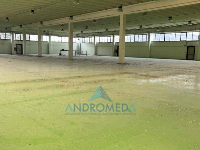 Locale Commerciale in affitto a Giove, Umbria