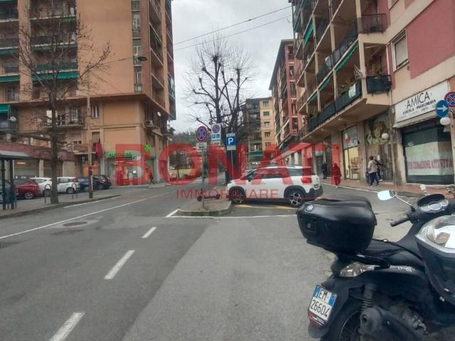 Locale Commerciale in affitto a Sarbia, La Spezia