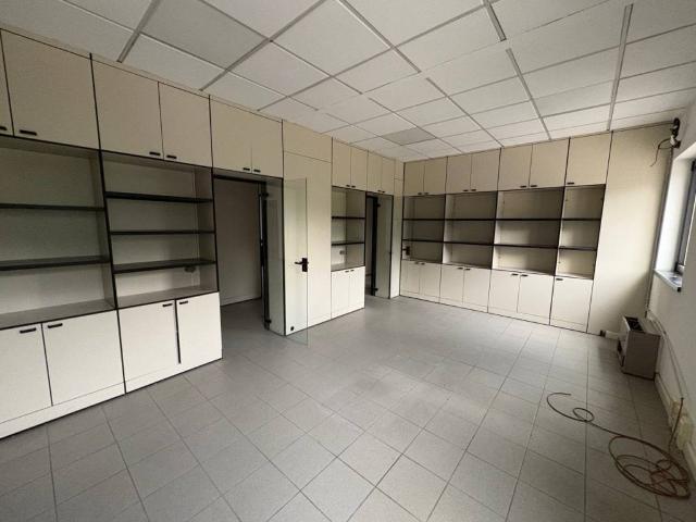 Locale Commerciale in affitto a Comunità Rotaliana-Königsberg, Lavis