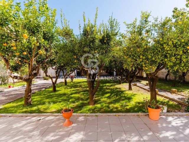 Locale Commerciale in affitto a Puglia, Lecce