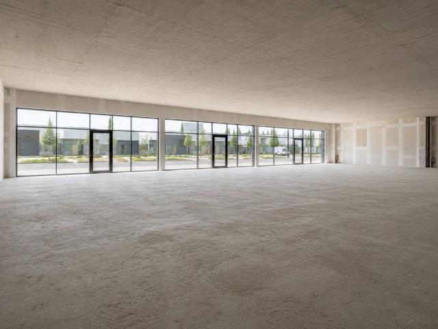 Locale Commerciale in affitto a Legnago, Veneto