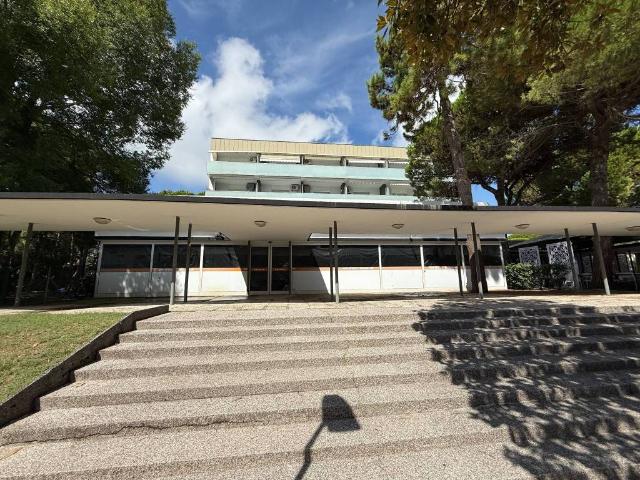 Locale Commerciale in affitto a Lignano Pineta