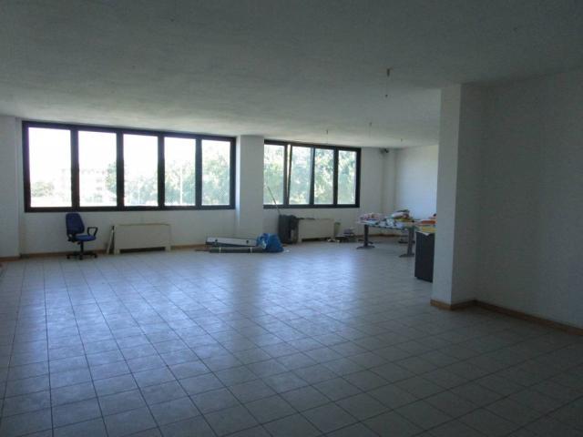 Locale Commerciale in affitto a Limena, Veneto