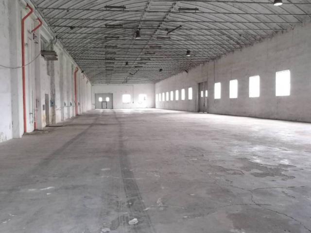 Locale Commerciale in affitto a Unione dei comuni della Bassa Romagna, Lugo