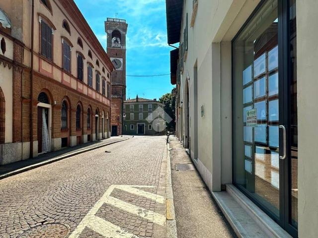 Locale Commerciale in affitto a Manerbio, Lombardia