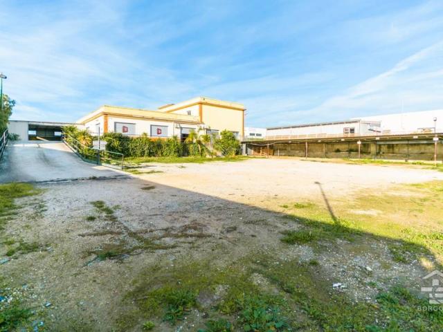 Locale Commerciale in affitto a Puglia, Foggia