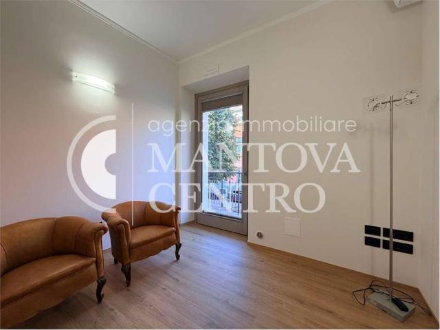 Locale Commerciale in affitto a Te Brunetti, San Giorgio Di Mantova