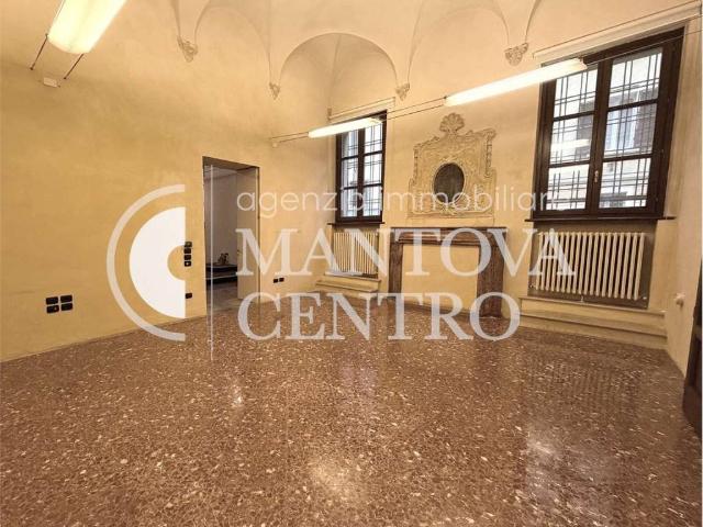 Locale Commerciale in affitto a Fiera-Catena, San Giorgio Di Mantova
