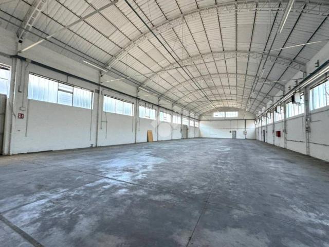 Locale Commerciale in affitto a Maserà Di Padova, Veneto