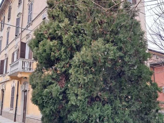 Locale Commerciale in affitto a Crocetta-San Lazzaro-Modena Est, Modena