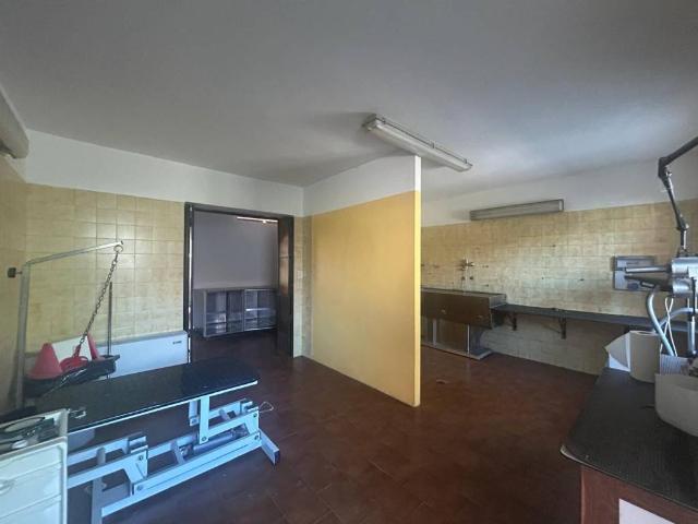 Locale Commerciale in affitto a Piemonte, Cuneo