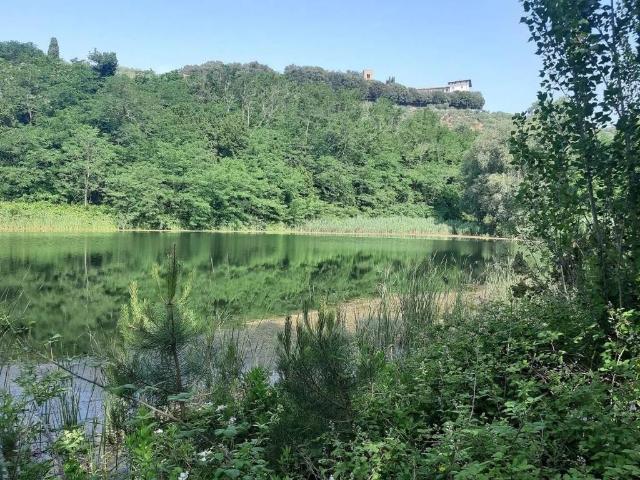 Locale Commerciale in vendita a Pozzarello, Montevettolini