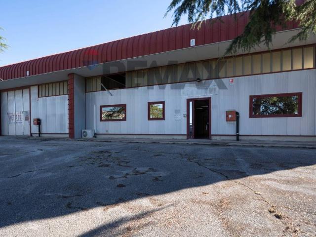 Locale Commerciale in affitto a Borghetto, Marche