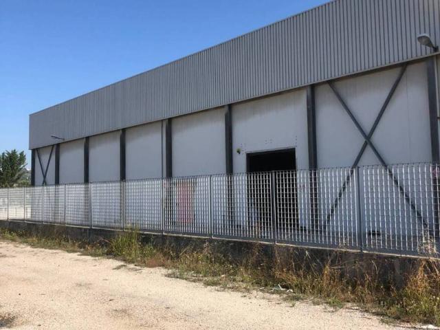 Locale Commerciale in affitto a Marche, Ascoli Piceno