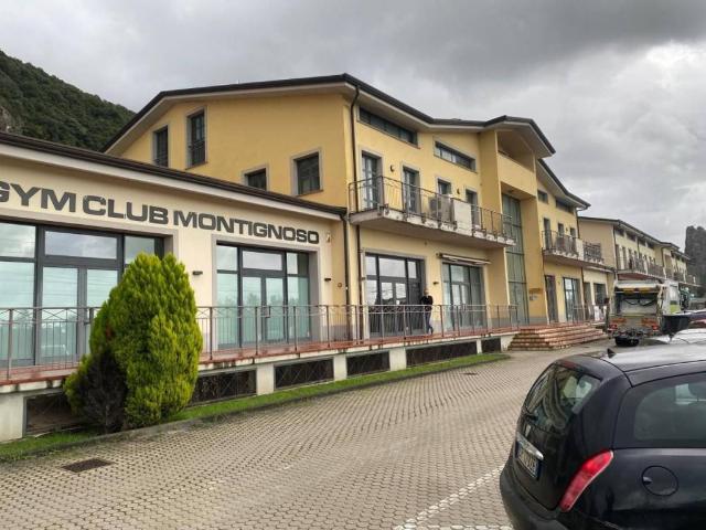 Locale Commerciale in affitto a Montignoso, Toscana
