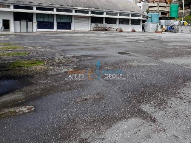 Locale Commerciale in affitto a Capanne, Montignoso