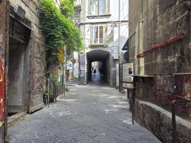 Locale Commerciale in affitto a Municipalità 2, Campania