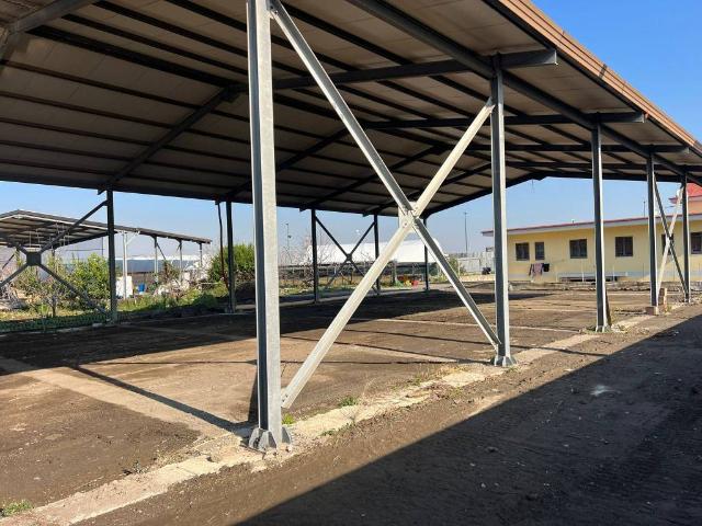 Locale Commerciale in affitto a Municipalità 6, Napola