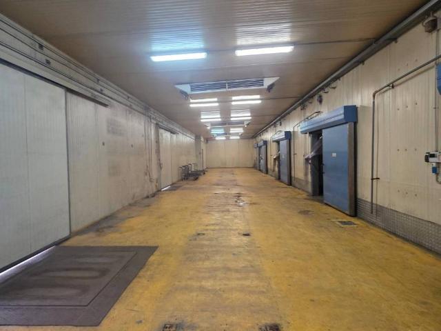 Locale Commerciale in affitto a Botteghelle, Campania