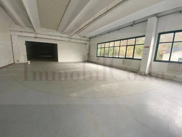 Locale Commerciale in affitto a Ne