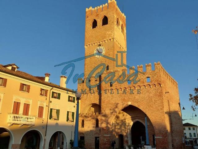 Locale Commerciale in affitto a Noale, Veneto