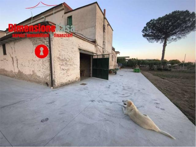Locale Commerciale in affitto a San Felice A Cancello, Campania