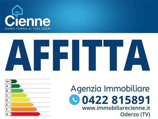 Locale Commerciale in affitto a Camino, Oderzo