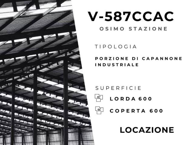 Locale Commerciale in affitto a Marche, Ancona