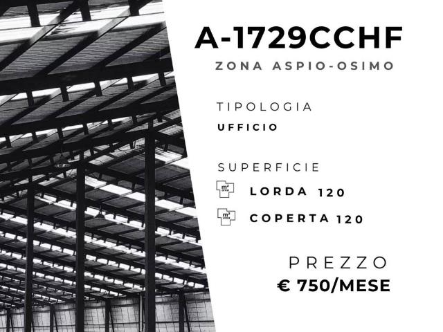Locale Commerciale in affitto a Marche, Ancona