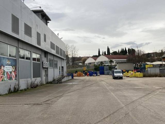 Locale Commerciale in affitto a Scaricalasino, Marche