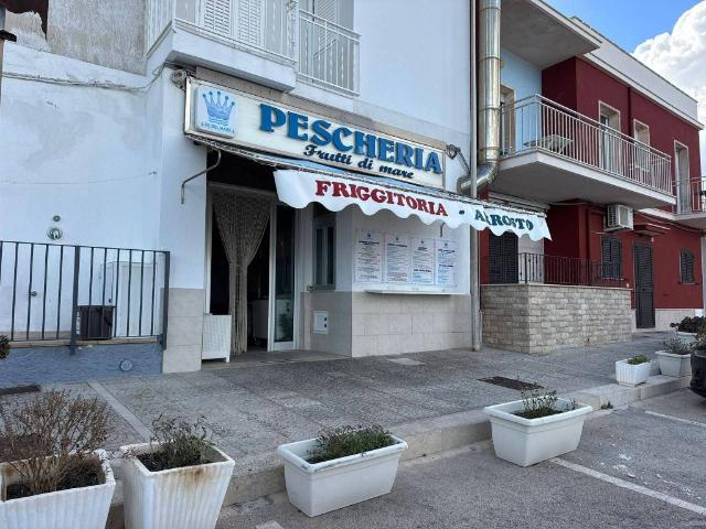 Locale Commerciale in affitto a Villanova di Ostuni, Puglia