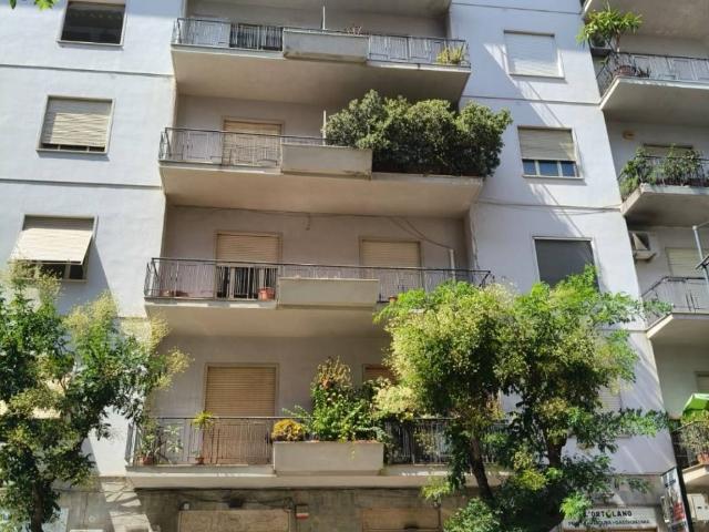 Locale Commerciale in affitto a VIII Circoscrizione, Palermo