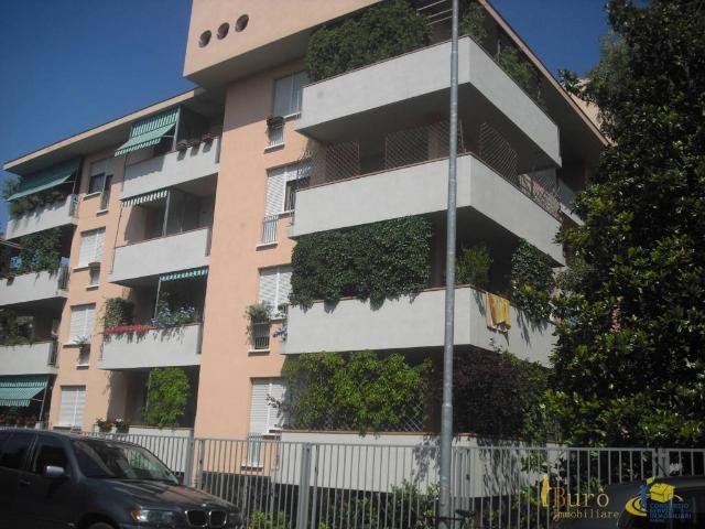 Locale Commerciale in affitto a Cittadella, Sorbolo