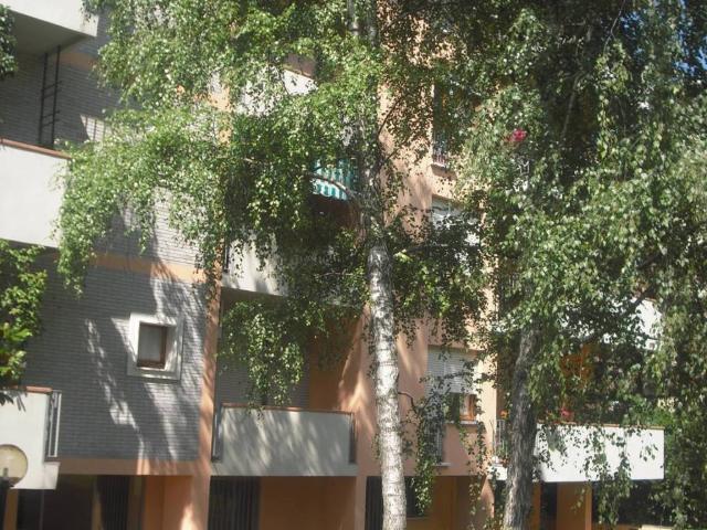 Locale Commerciale in affitto a Cittadella, Sorbolo