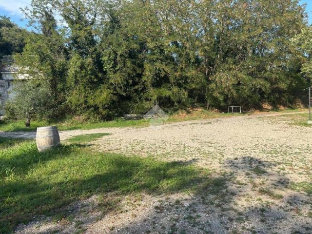 Locale Commerciale in affitto a Pastrengo, Veneto
