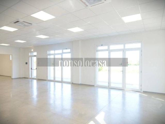 Locale Commerciale in affitto a Ponte San Giovanni, Cenerente