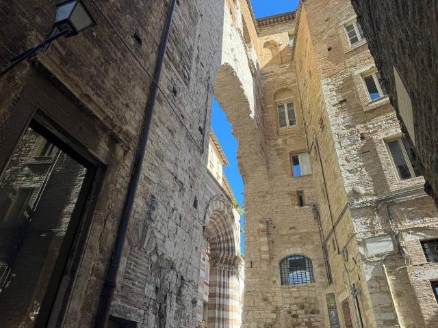 Locale Commerciale in affitto a Cenerente, Perugia