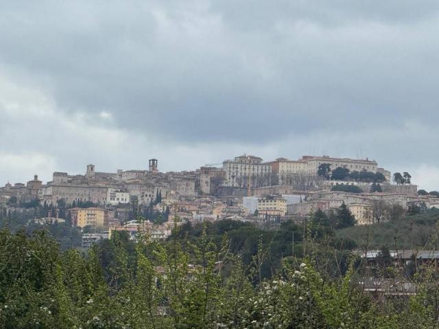 Locale Commerciale in affitto a Cenerente, Umbria