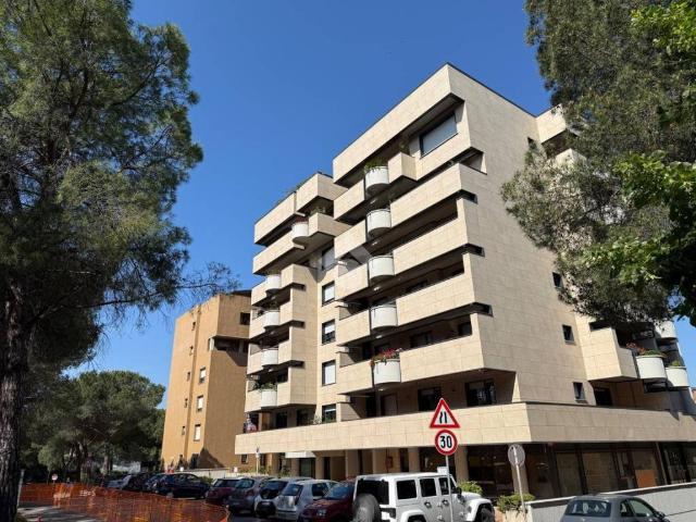 Locale Commerciale in affitto a Cenerente, Perugia