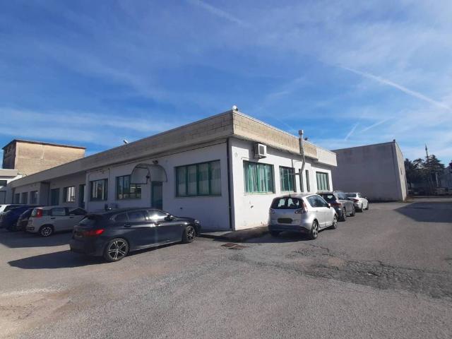 Locale Commerciale in affitto a La Fratticiola-Casacce, Cenerente