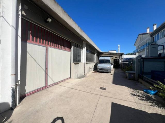 Locale Commerciale in affitto a Marche, Pesaro E Urbino