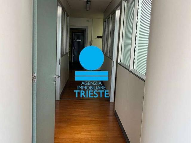 Locale Commerciale in affitto a Marche, Pesaro E Urbino
