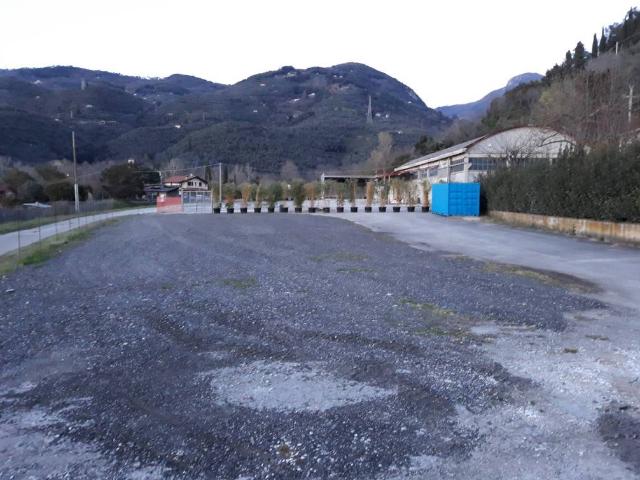 Locale Commerciale in affitto a Tonfano, Toscana