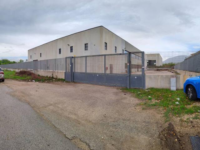 Locale Commerciale in affitto a Pignataro Maggiore, Campania