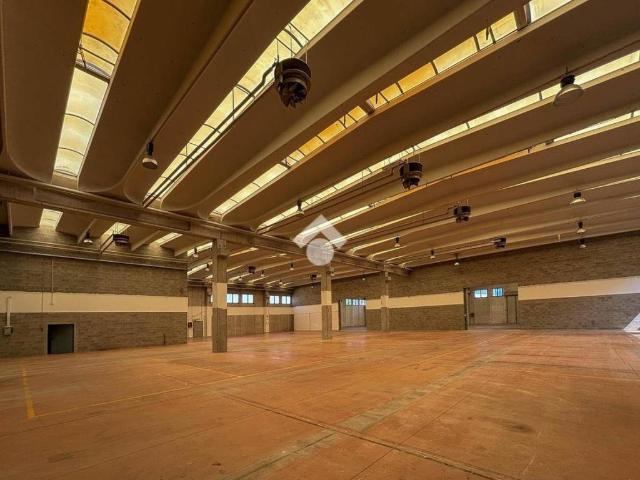 Locale Commerciale in affitto a Quartiere Sant'Anna, Piove Di Sacco