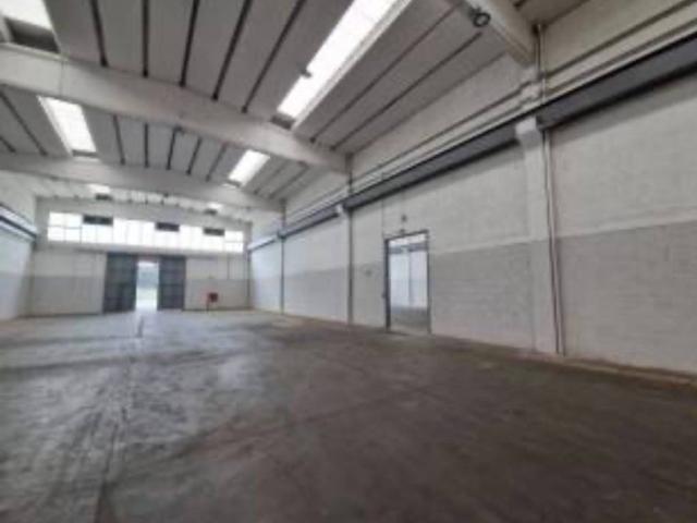 Locale Commerciale in affitto a Santa Procula, Pomezia