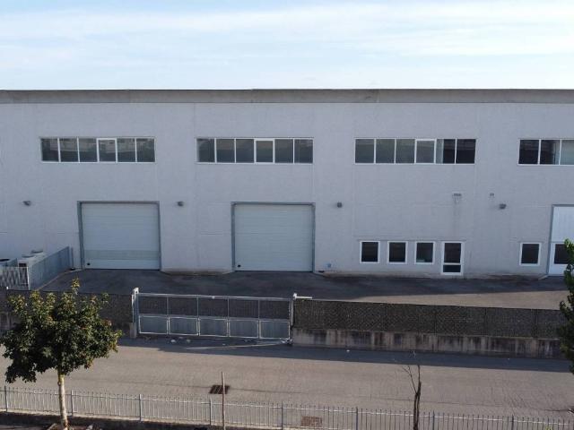 Locale Commerciale in affitto a Santa Procula, Pomezia