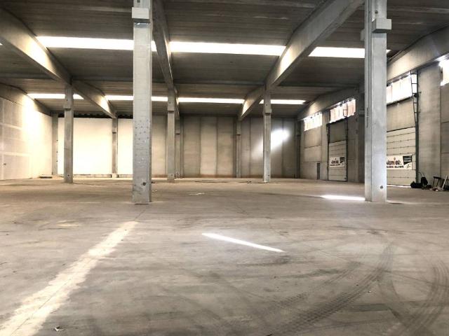 Locale Commerciale in affitto a Santa Procula, Pomezia