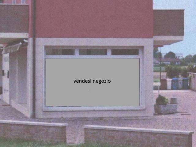 Locale Commerciale in affitto a Ponte San Nicolò, Veneto