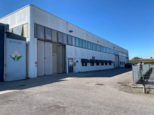 Locale Commerciale in affitto a Pontelongo, Veneto